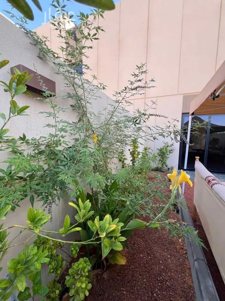 فيلا للإيجار في شارع رقم 1178, حي سدرة, مدينة الرياض, منطقة الرياض 16