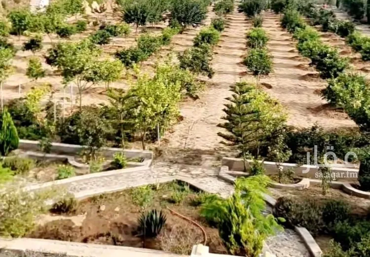 مزرعة للبيع في حي تبراك, مدينة الجله, منطقة الرياض