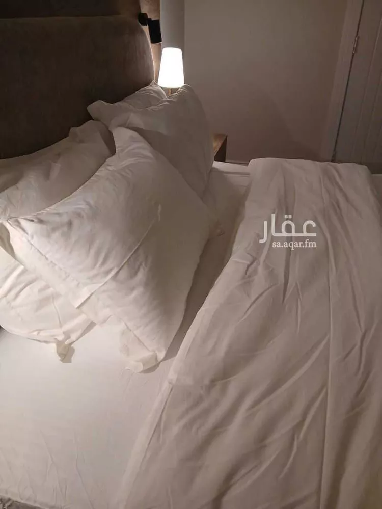 شقة مفروشة للحجز في شارع الشيخ حمد الناصر الوهيب ، حي القدس ، الرياض ، منطقة الرياض صورة 4