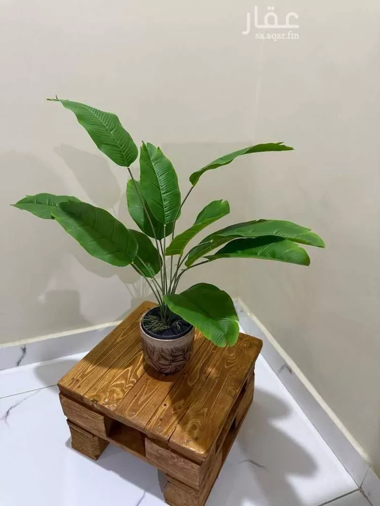 استديو مفروش للحجز في شارع القمرية ، حي القطبية ، الطائف ، الطائف صورة 5