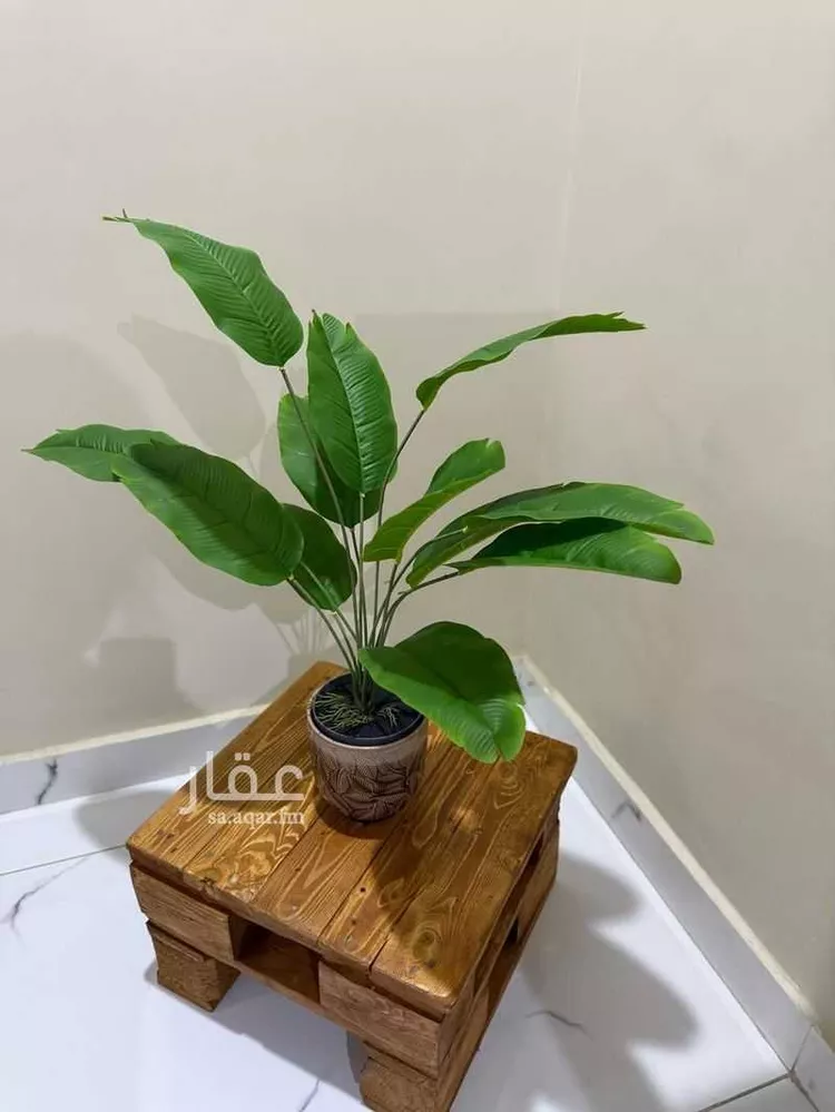 استديو مفروش للحجز في شارع القمرية ، حي القطبية ، الطائف ، الطائف صورة 5