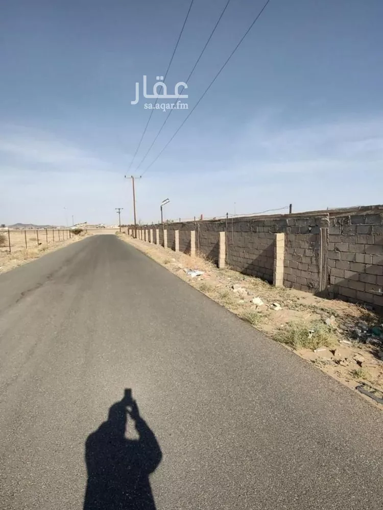 أرض للبيع في شارع شارع جامع إمام الدعوة, حي الصبيحي, مدينة بيشه, منطقة عسير صورة 3