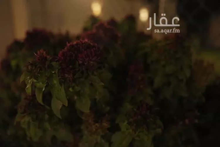 استراحة للإيجار في قصور أل مقبل صورة 3