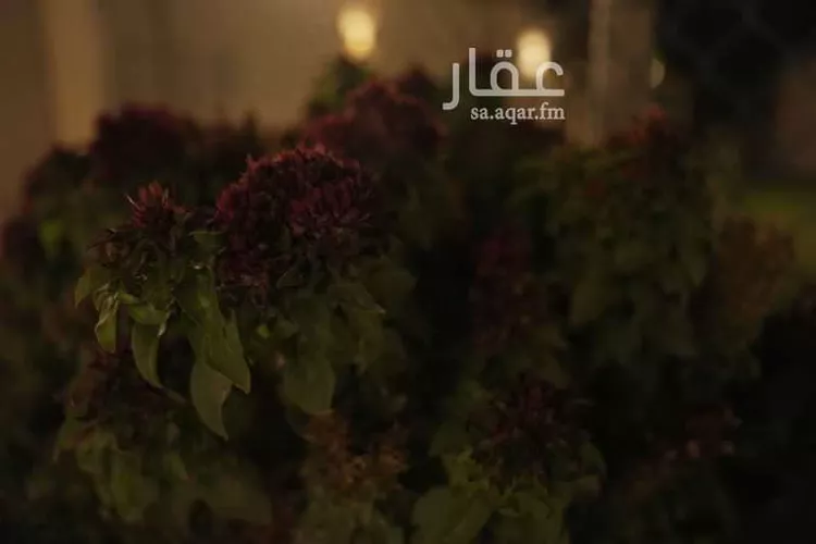 استراحة للإيجار في حي قصور ال مقبل, مدينة مزارع البطين ومزرعه دواجن, منطقة الرياض 7
