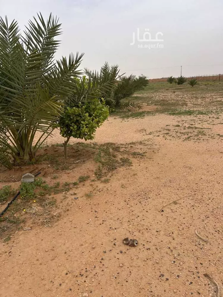 Farm for Sale in Al Majmaah Ar Rawdah صورة 5