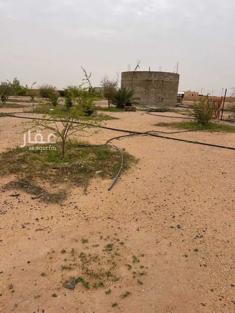 مزرعة للبيع في حي مزارع المغيدر, مدينة المجمعة, منطقة الرياض 7