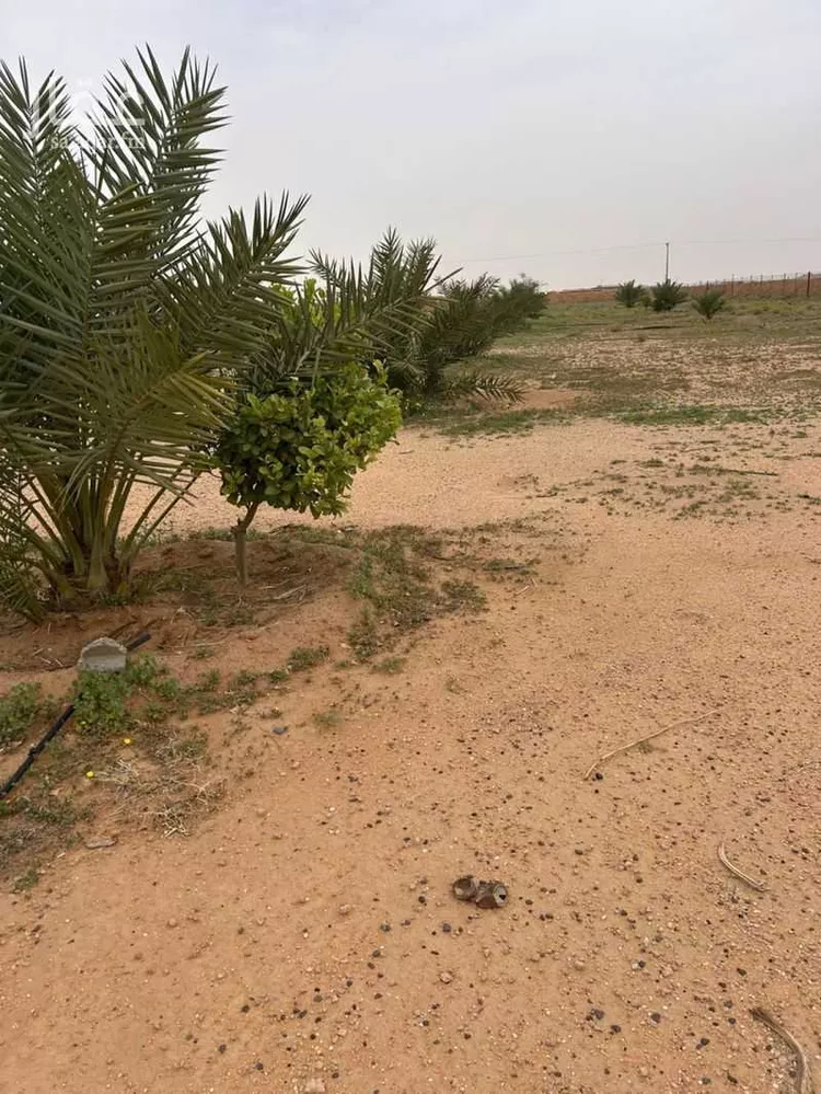 مزرعة للبيع في حي مزارع المغيدر, مدينة المجمعة, منطقة الرياض صورة 5