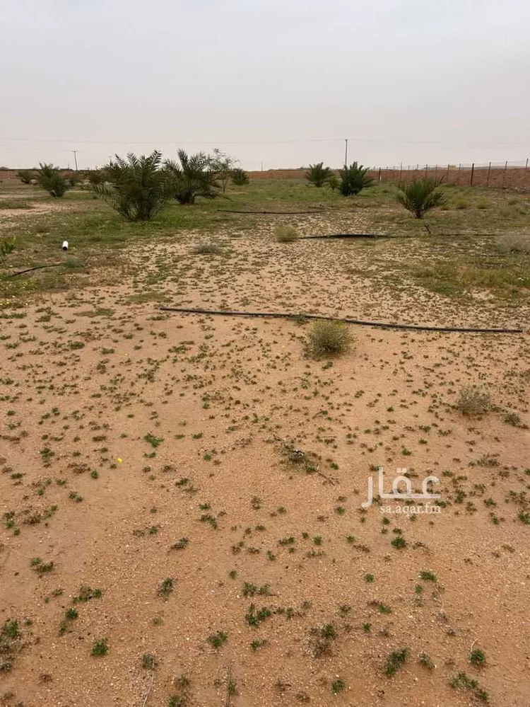 Farm for Sale in Al Majmaah Ar Rawdah