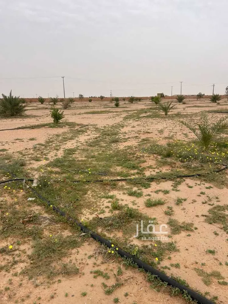 مزرعة للبيع في حي مزارع المغيدر, مدينة المجمعة, منطقة الرياض صورة 3
