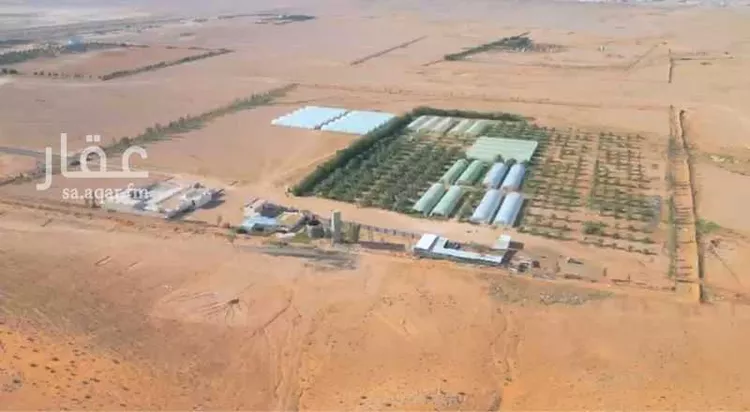 مزرعة للبيع في شارع طريق حفر الباطن, حي مزرعة الجماعة, مدينة مزرعة الجماعة, منطقة الرياض