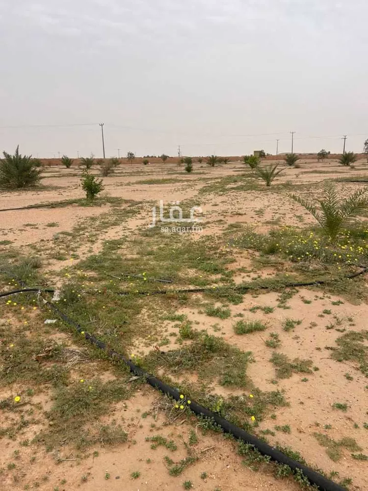Farm for Sale in Al Majmaah Ar Rawdah صورة 3