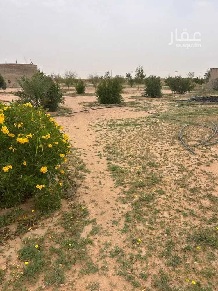 مزرعة للبيع في حي مزارع المغيدر, مدينة المجمعة, منطقة الرياض 9