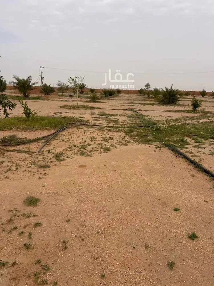 مزرعة للبيع في حي مزارع المغيدر, مدينة المجمعة, منطقة الرياض 10