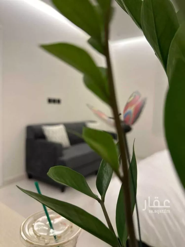 استديو مفروش للحجز في شارع جمال ابن عبدالله شيخ ، حي الواحة ، جدة ، جدة