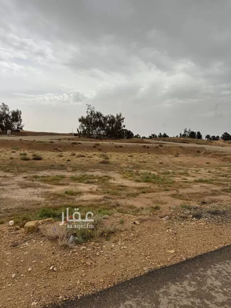 أرض للبيع في حي النقع الشرقي, مدينة بريدة, منطقة القصيم صورة 2