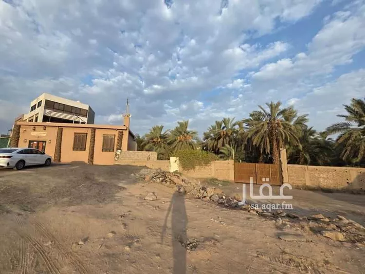 مزرعة للإيجار في حي الشريبات, مدينة المدينة المنورة, منطقة المدينة المنورة 13