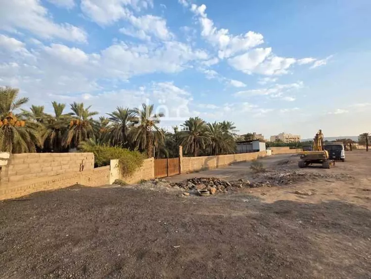 مزرعة للإيجار في حي الشريبات, مدينة المدينة المنورة, منطقة المدينة المنورة 21