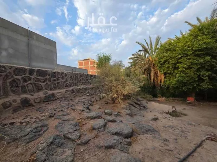 مزرعة للإيجار في حي الشريبات, مدينة المدينة المنورة, منطقة المدينة المنورة 12