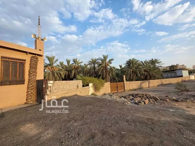 مزرعة للإيجار في حي الشريبات, مدينة المدينة المنورة, منطقة المدينة المنورة 18