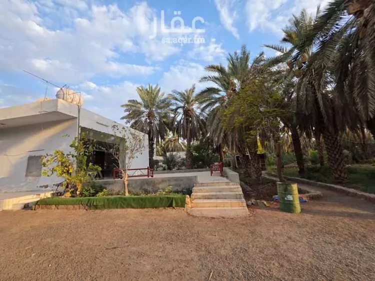 مزرعة للإيجار في حي الشريبات, مدينة المدينة المنورة, منطقة المدينة المنورة 9