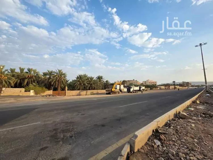 مزرعة للإيجار في حي الشريبات, مدينة المدينة المنورة, منطقة المدينة المنورة 16