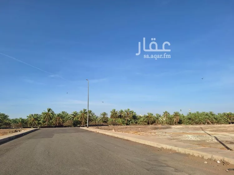 أرض للبيع في شارع ابراهيم الجنيد, حي الإسكان, مدينة المدينه المنوره, منطقة المدينة المنورة صورة 5