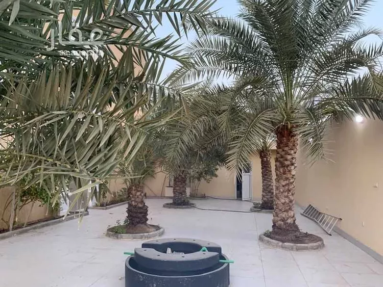 شقة للإيجار في شارع عمرو بن أنس الأنصاري(رضي ال, حي اللؤلؤ, مدينة جدة, منطقة مكة المكرمة صورة 3