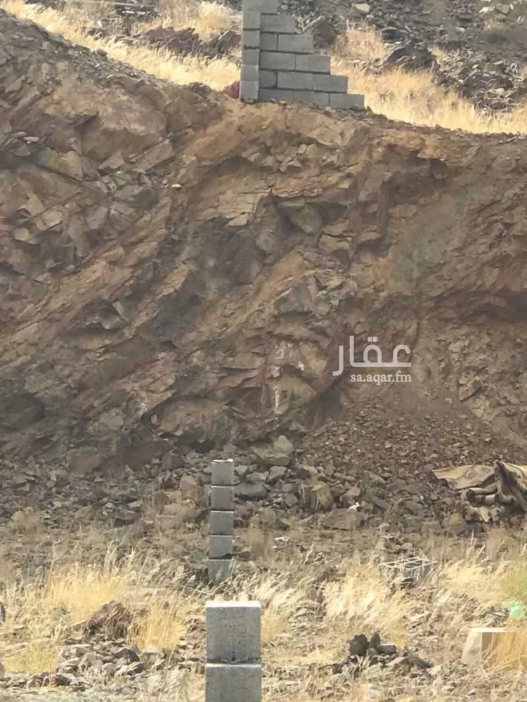 أرض للإيجار في شارع 78 الزهور ، حي المحالة ، آل بالفلاح ، منطقة عسير
