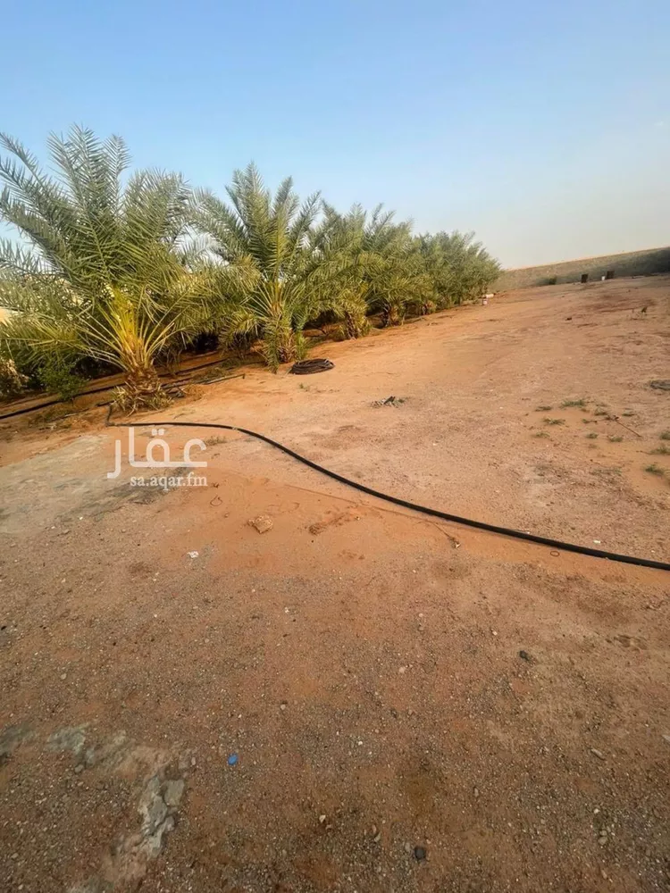 أرض للبيع في شارع شارع, مدينة الجلة, منطقة الرياض 13
