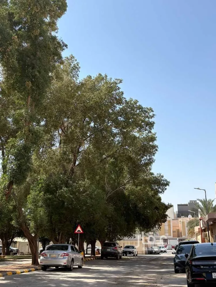 شقة للإيجار في شارع وادي فاطمة, حي جرير, مدينة الرياض, منطقة الرياض صورة 2