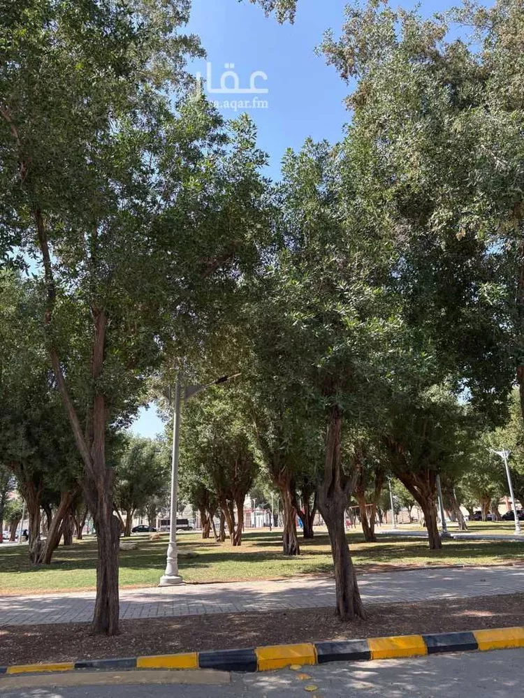 شقة للإيجار في شارع وادي فاطمة, حي جرير, مدينة الرياض, منطقة الرياض صورة 4