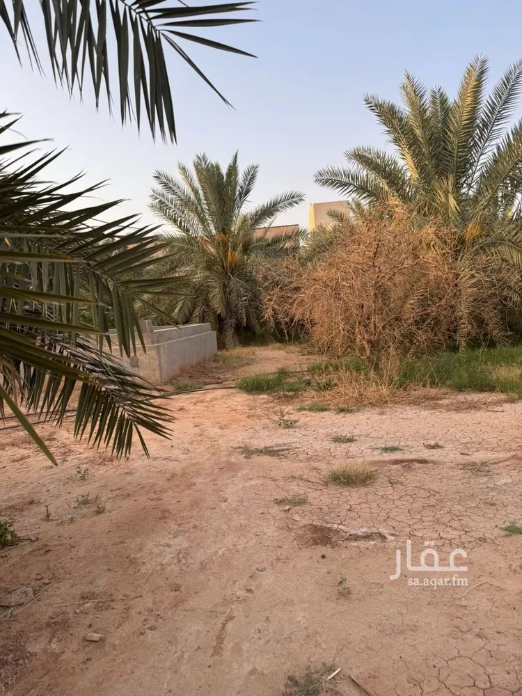 أرض للبيع في شارع الوكيل, حي الريان, مدينة الخبراء والسحابين, منطقة القصيم صورة 3