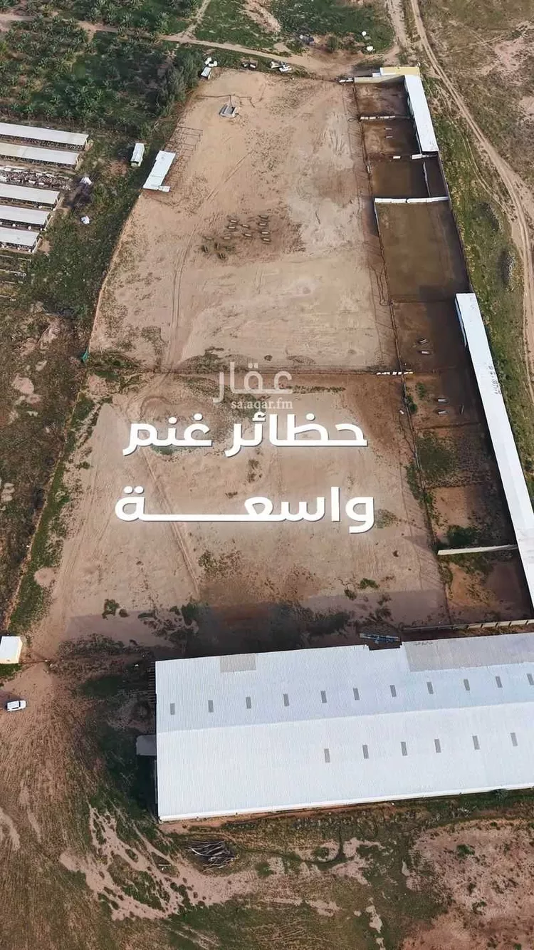 مزرعة للبيع في شارع غير مسمى, مدينة البدائع, منطقة القصيم صورة 3