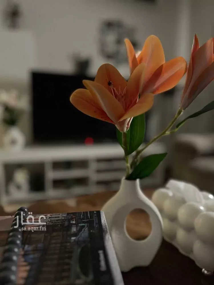 شقة مفروشة للحجز في شارع الأسامر ، حي الدار البيضاء ، الرياض ، منطقة الرياض