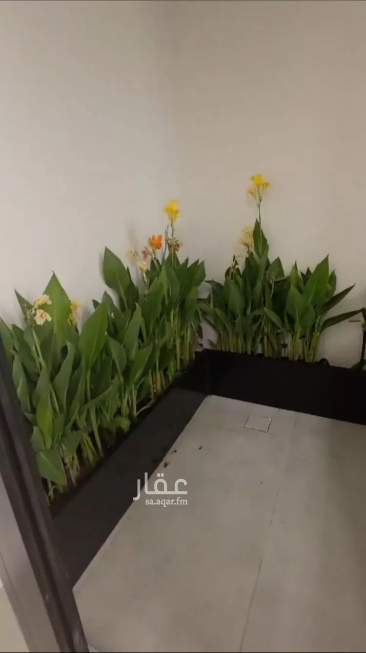 Villa for Sale in Riyadh Al Qirawan