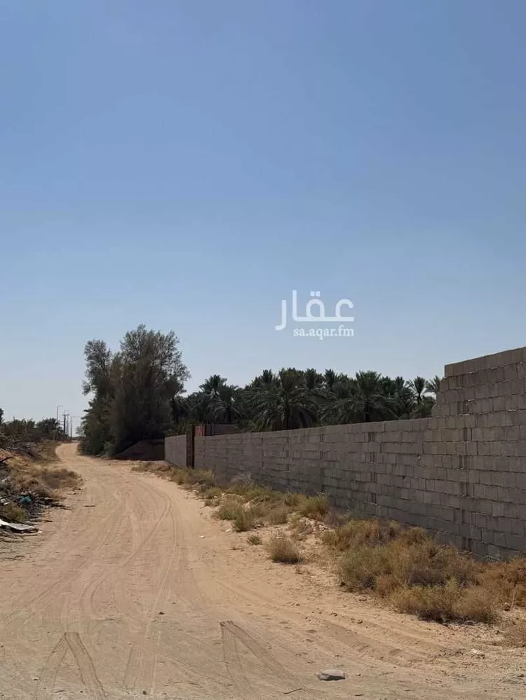 أرض للبيع في شارع الميناء ، الشيحية ، البكيرية صورة 3