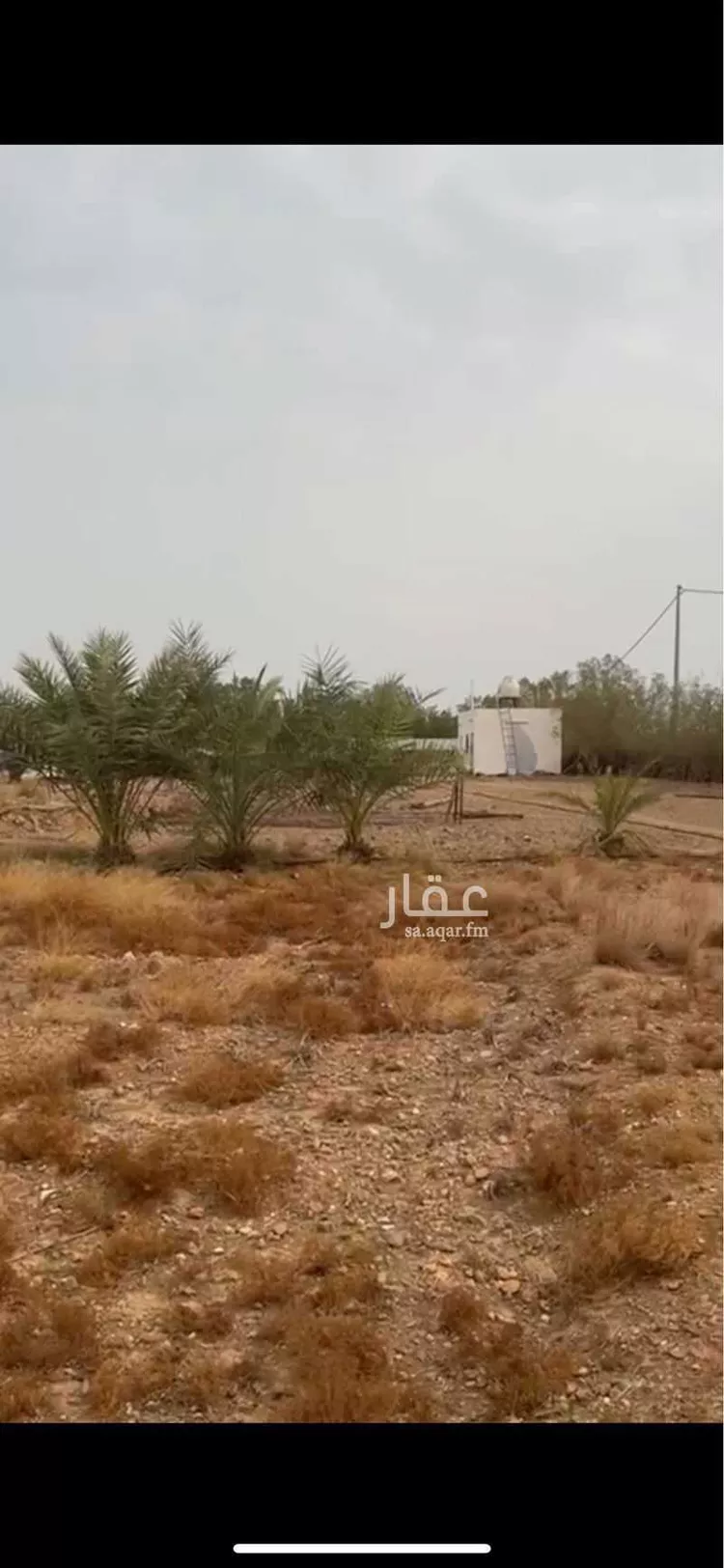 مزرعة للبيع في شارع صندل, الكدارة صورة 5