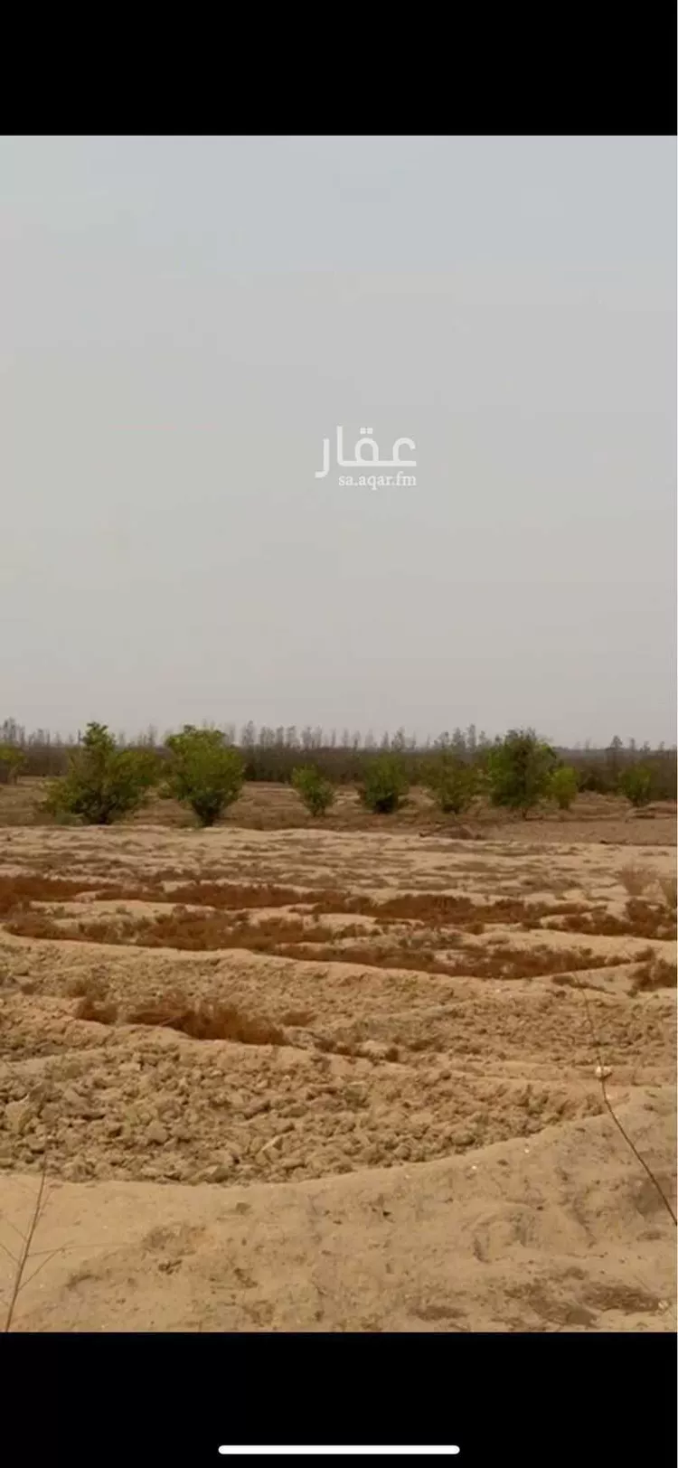 مزرعة للبيع في شارع صندل, الكدارة صورة 4