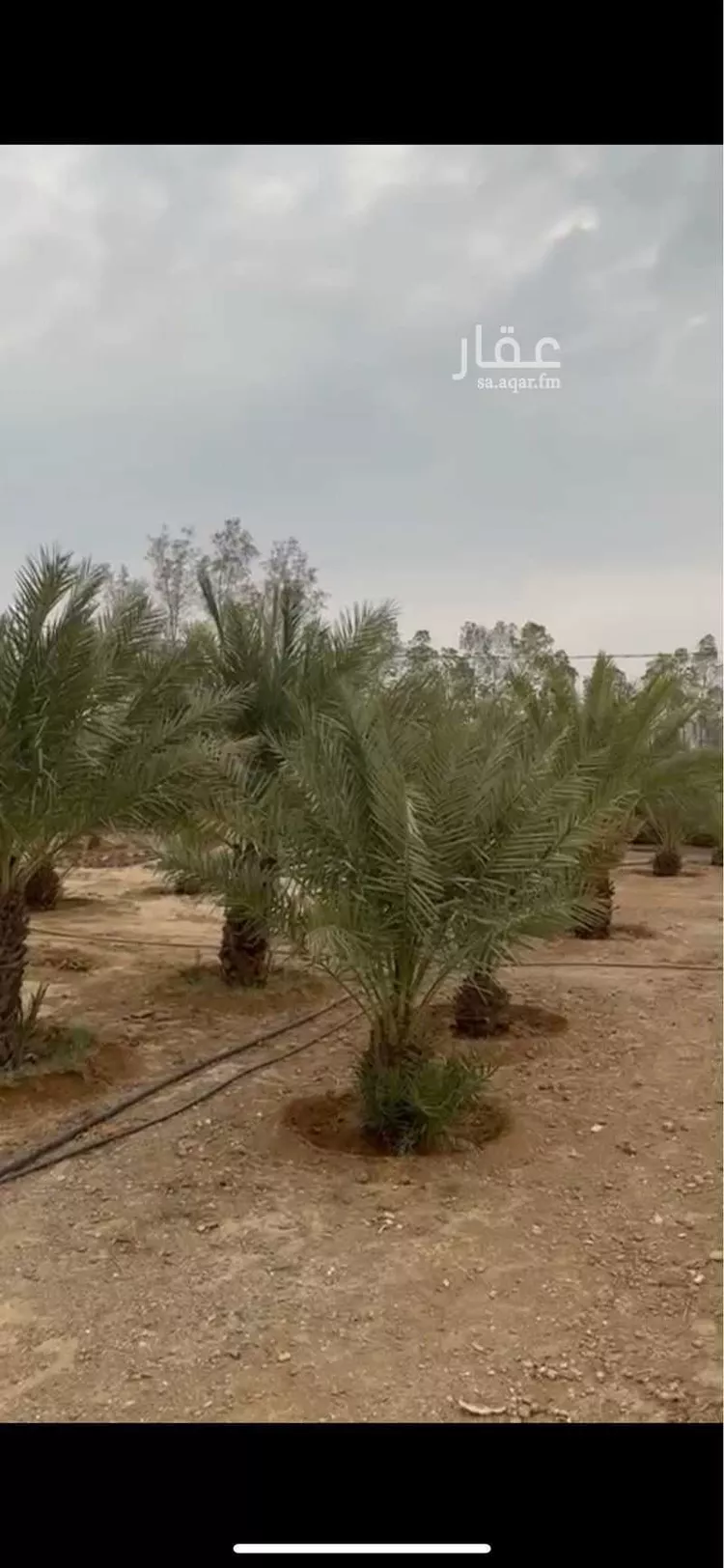مزرعة للبيع في شارع الكدره 104 ، الكدارة ، منطقة عسير صورة 4