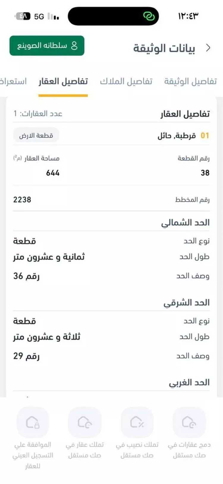 أرض للبيع في شارع عبد العزيز بن معمر ، حي حدري البلاد ، حائل ، منطقة حائل صورة 4