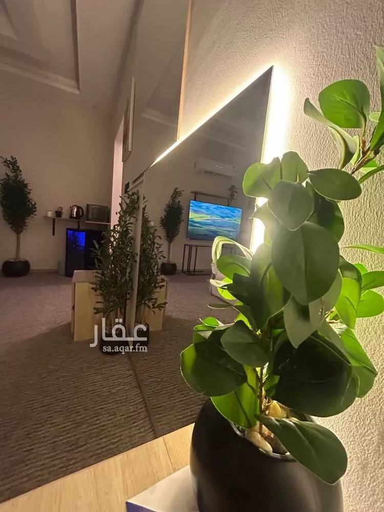 استديو مفروش للحجز في شارع الاندلس الفرعي ، حي الحمراء ، جدة ، جدة 16