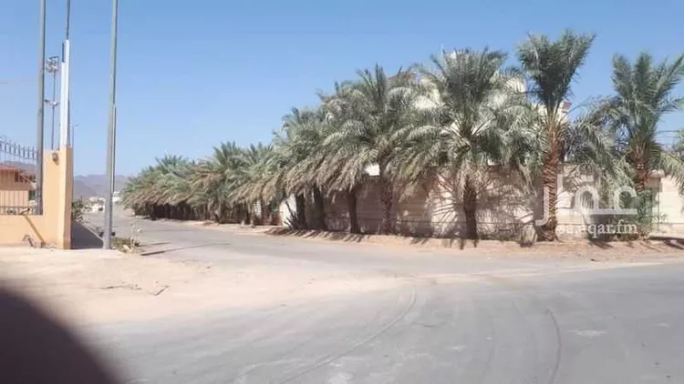 مزرعة للبيع في حي الغابة ، المدينة المنورة ، منطقة المدينة المنورة