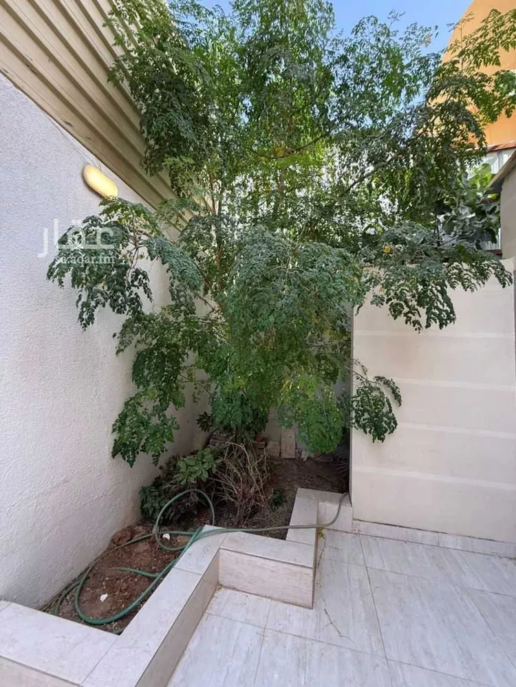 شقة للإيجار في شارع الزين السنبكي, حي الربوة, مدينة الرياض, منطقة الرياض صورة 2