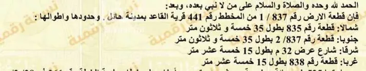 أرض للبيع في شارع حميد ابن قحطبة, حي منيفة القاعد, مدينة منيفة القاعد, منطقة حائل صورة 2
