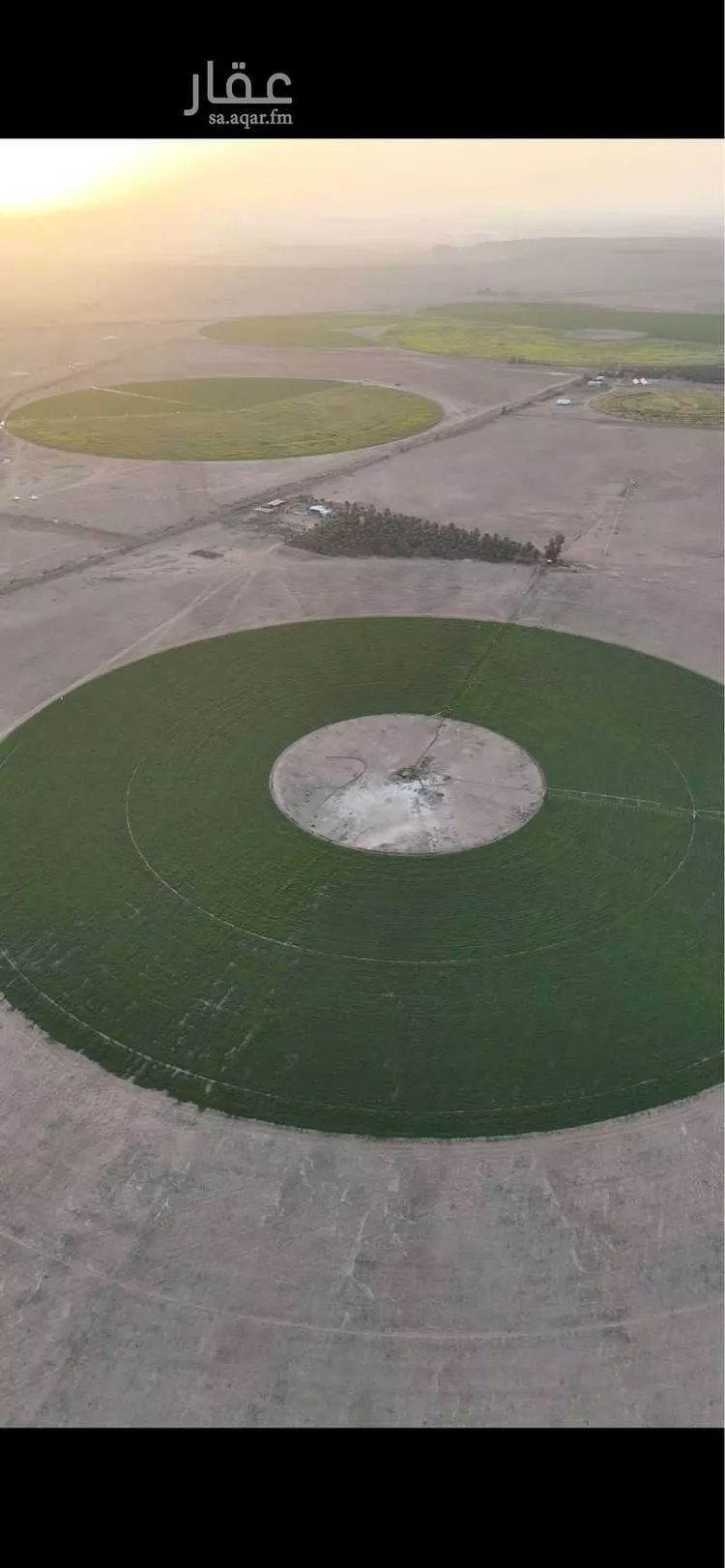 مزرعة للبيع في مدينة قصيباء الجديده, منطقة القصيم صورة 5
