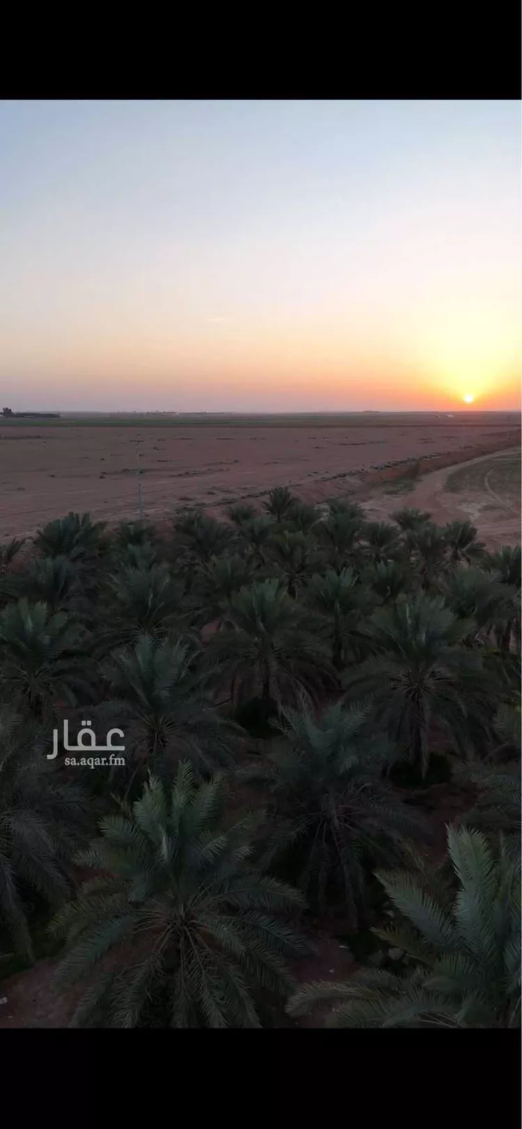 مزرعة للبيع في مدينة قصيباء الجديده, منطقة القصيم صورة 4