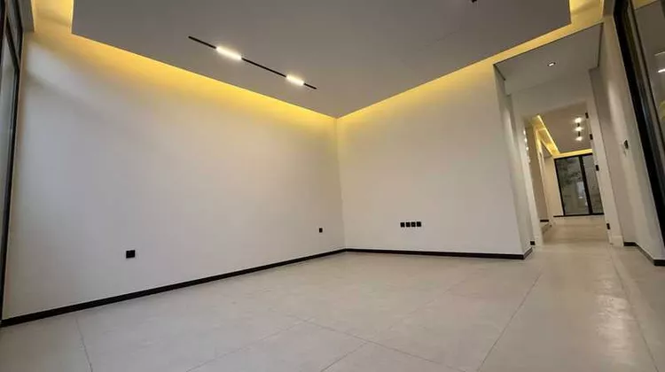 هوكسن 12