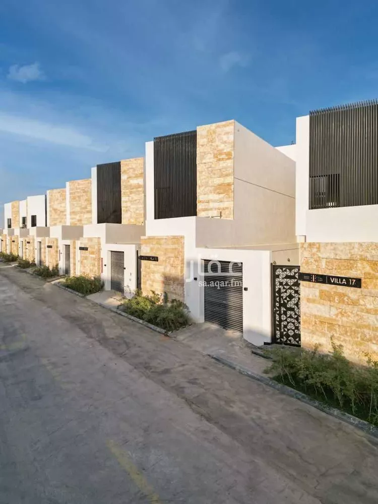 روت 12 صورة 3