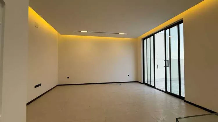 هوكسن 19