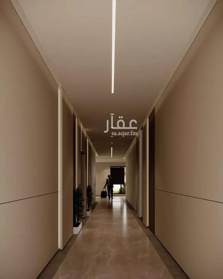 ريزي 24 التعاون 12